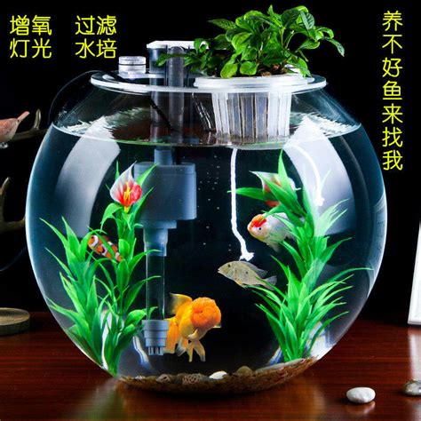 魚缸放水晶